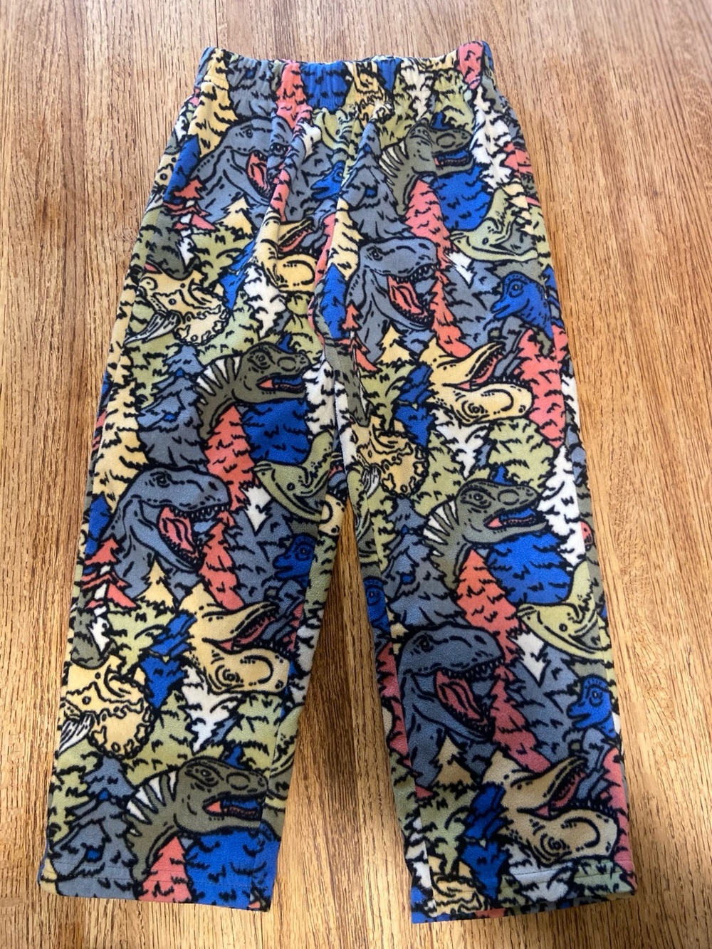 Kids Multicolor Dinosaur Print Fleece Pants